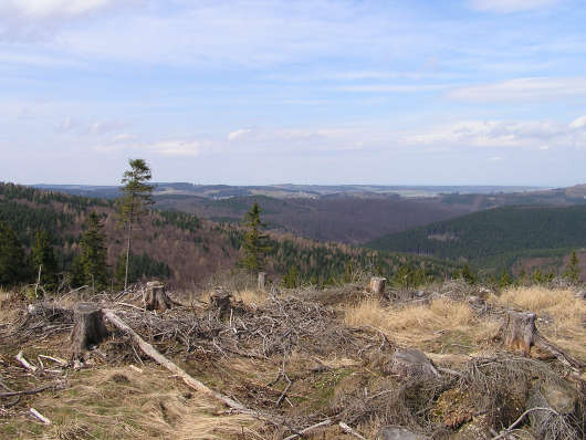 Blick in Richtung Brilon.